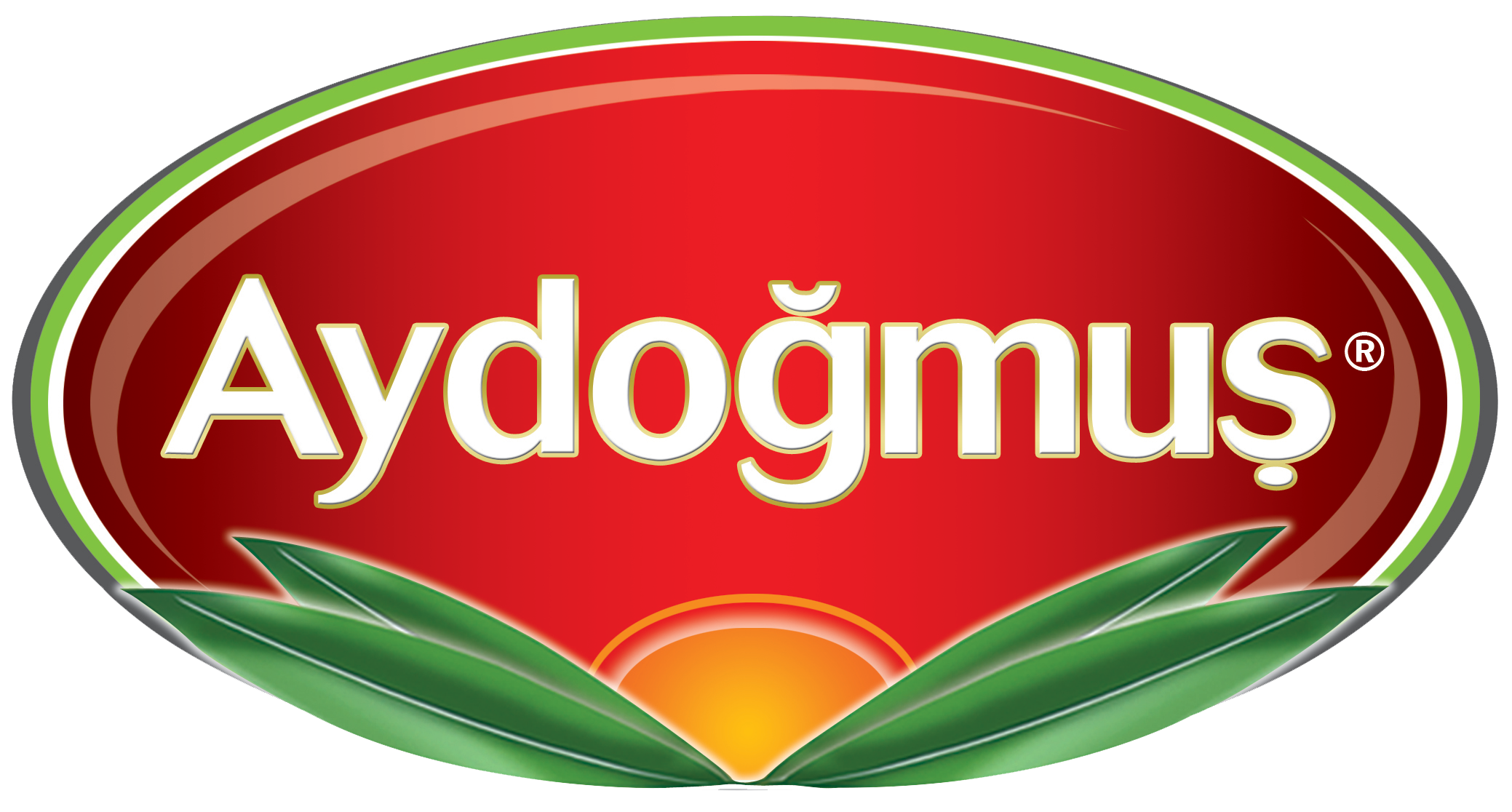 AYDOĞMUŞ ZEYTİNLERİ GIDA SAN. VE TİC. LTD. ŞTİ.